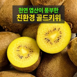 [당일출고] 제주 골드키위 2kg 명품 고당도 3kg 대과, 1박스, 2kg (대과)