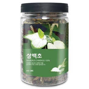 삼백초(국산) 20g(통) 말린 삼백초 건강 한방 약재 차, 삼백초[국산] 20g[통], 1개