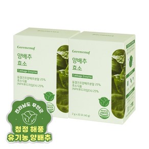 그린이너프 양배추 효소 20포, 40g, 2개