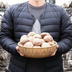 [산지직송] 국내산 생표고버섯 특상품 실속형 500g 1kg, 1개