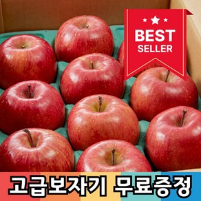 [인기설선물추천] 명품 과일 부사 5kg 사과선물세트, 1박스