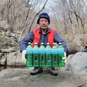 토박이 하동 지리산 고로쇠 수액, 6개, 1.5L