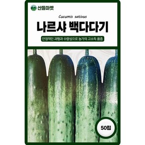 제농 나르샤 백다다기 오이 씨앗 50립, 1개