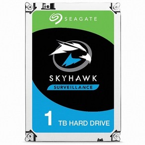 씨게이트 SkyHawk HDD CCTV용