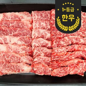 마블링 가든 최고급 원뿔 한우1+ 갈비살 구이, 1개, 600g