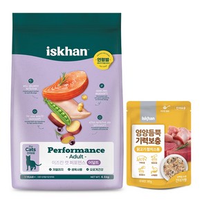 이즈칸 캣 퍼포먼스 어덜트 6.5kg + 영양듬뿍 기력보충 닭고기참치스튜 80g