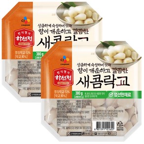 CJ 하선정 락교, 380g, 2개