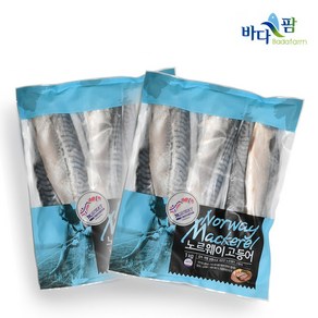 속살가득 노르웨이고등어살 필렛 1kg 2봉 동방유통, 2개