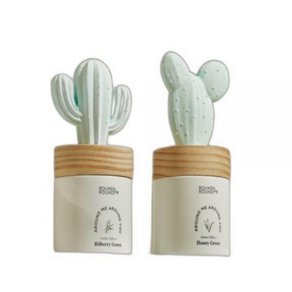 라운드어라운드 선인장 디퓨저 만세/토끼 선인장 100ml, 1개