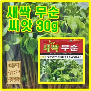 새싹 무순 씨앗 (30g) -새싹 전용씨앗, 1개