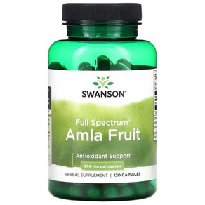 스완슨 풀 스펙트럼 암라 구스베리 Amla 500mg 120캡슐, 1개