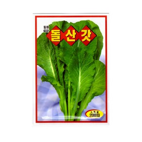 모칸도 동원 돌산갓 2000립, 1개