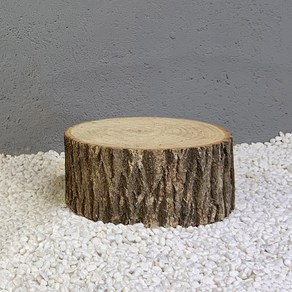 통나무 의자 벤치 미드센츄리 가구 목재 나무 북유럽 5cm/8cm 받침대 벤치소파, 유피목돈[15 19 높이 12cm], 1개