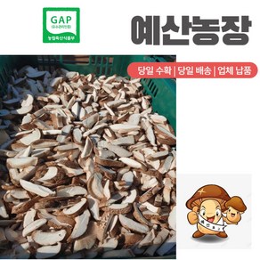 GAP인증 [산지직송] 자연그대로담은 말린 마른 건표고버섯 (슬라이스) 다시용 국물용 육수용 김장용 재료, 200g, 2봉지, 1개