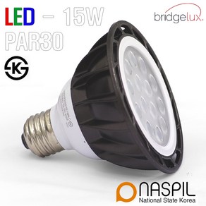 [ NASPIL ] LED PAR30 나스필 15W 집중형, 1개