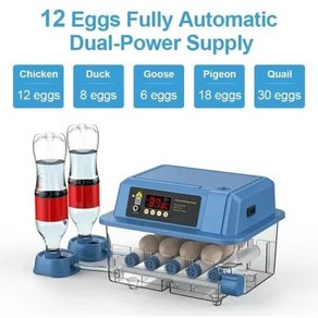 인테리어 계란 플러그 듀얼 덕트 따뜻한 공기 내부 순환 지능형 인큐베이터 브로더용 자동 110V 220 V 전원, 5) S  12 Eggs  EU Plug 220V, 1개