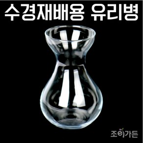 우리화훼종묘(주) 구근 수경재배용 유리용기(유리화병), 1개