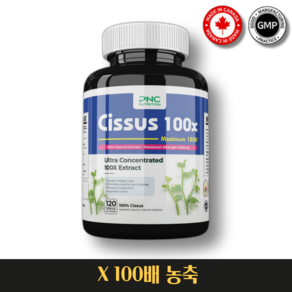 PNC 시서스 추출물 100배고농축 1200mg 120캡슐, 1개, 120정