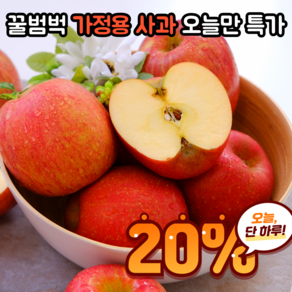 [사과에진심] 꿀범벅 가정용사과 꿀 사과, 1개, 10kg