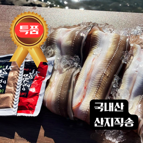 [먹거리앤밥] 국내산 통영 바다 활 장어 양념 간장 손질 구이 요리 장어탕 바다장어특대, 1개, 3kg