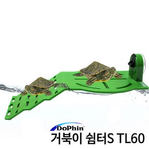 도핀 거북이 쉼터(S) TL60-어항 수족관 파충류 일광욕, 1팩