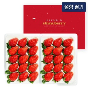 새콤달콤 설향 딸기 800g (특품/24~30과), 1박스, 400g