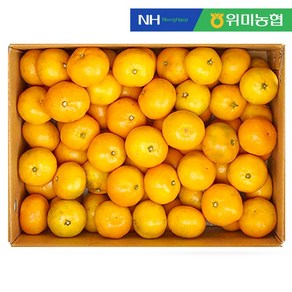 [위미농협] 싱귤생귤 12bix 고당도 제주 비가림 감귤 5kg 1박스, 1개