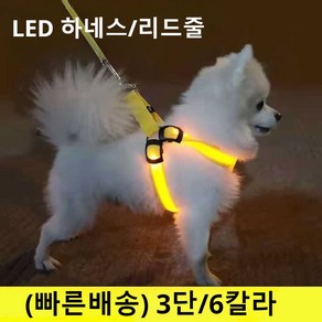 아반티 LED 반려동물 라이트 도그 가슴띠 중대형 야광 산책 외출 리드줄 세트, 1세트, 오렌지