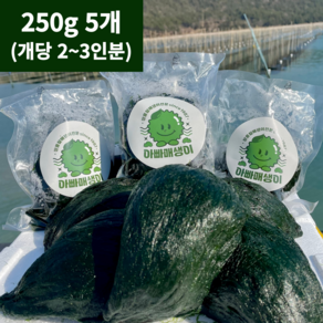 아빠매생이 장흥 내저 찰 햇매생이 생산자직배송 진공포장, 250g, 5개