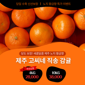 특가상품 저농약 제주 노지 황금향 4키로 10키로 산지직송 제주 고씨네