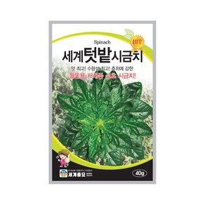 세계텃밭시금치 40g 시금치씨앗 월동용 재래종 섬초, 1개