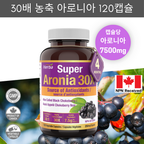 아로니아정 7500mg 120식물성캡슐 30배 농축 고함량 아로니아 캡슐 안토시아닌 허바 캐나다, 120정, 1병