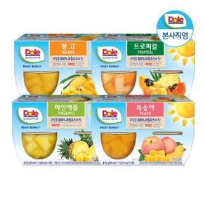 Dole 후룻볼 4종 혼합 113g x 16개입 (파인애플 복숭아 망고 트로피칼)