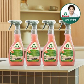 [김혜자 세제] 프로쉬 독일 자몽 기름때 클리너 500ml 단품 청소 세제