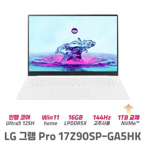 LG그램 17Z90SP-GA5HK 울트라5 16GB 512GB 윈도우11 정품탑재 대화면 가벼운 노트북, WIN11 Home, 1TB, 화이트