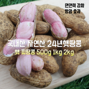 [산지직송] 국내산 자연산 경북 예천 24년 햇땅콩 피땅콩 500g 1000g 1박스, 1kg