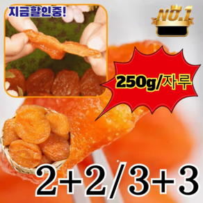 2+2/3+3 지금할인중! [달콤하고 부드러움]무첨가 씨 없는 말린 홍살구 와인 안주 건조 과일 부드러운 찹쌀 씨 없는 살구 건살구 250g/자루