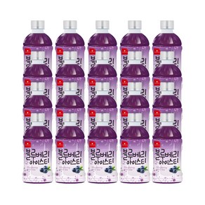 웰그린 스위츠 블루베리아이스티, 20개, 340ml