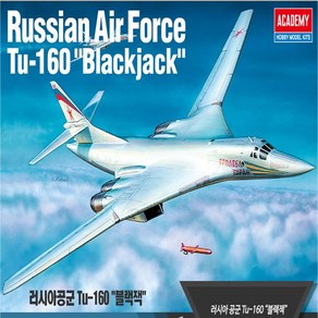 No240/러시아공군 Tu-160 블랙잭 비행기 전투기, 1개