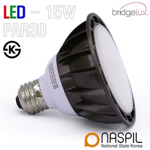 JK LED PAR30 15W 확산형 다용도 인테리어 조명 램프 전구 주광 주백 전구색, 4000K 주백색_[연한회색], 1개