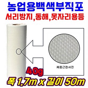 농자재-서리방지 부직포 40g 길이50m 백색 못자리 마늘 양파 월동 보온 냉해방지 UV첨가