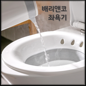 배리앤코 좌욕기 변기 치질, 1개, 회색