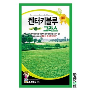 켄터키블루그라스 1kg/ 서양잔디 골프장잔디 정원용잔디, 1개