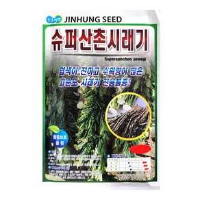 슈퍼산촌시래기무 20g 시래기무씨앗 김장씨앗 진흥 24년