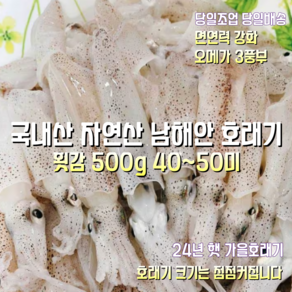 [산지직송] 국내산 자연산 남해안 새벽에조업한 호래기 (횟감) 500g 40~50미 1박스, 남해안 호래기 (횟감) 500g 40~50미