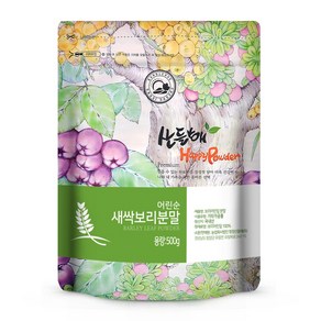 산들해 국산 어린순 새싹보리 분말가루 새싹보리100%, 500g, 1개