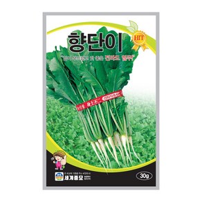 솔림텃밭몰 열무씨앗 30g 향단이열무 무씨앗 열무씨 전라도열무, 1개