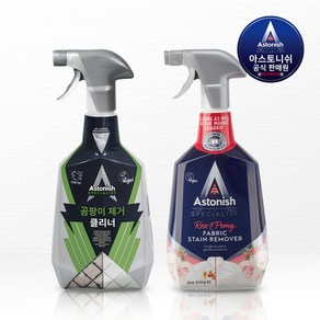 아스토니쉬 곰팡이 클리너 750ml만능얼룩제거제 750ml, 아스토니쉬 곰팡이 클리너 750ml만능얼룩제거제 750, 1개, 750ml
