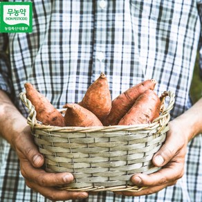 [해남 세척 무농약 꿀고구마] 달콤한 속노란 밤고구마 (3kg/5kg 크기 선택), 1개, 5kg특상(150~300g)