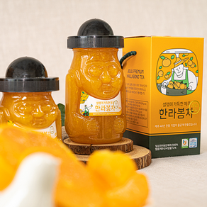 제주에서 만든 설렘이 가득한 제주 액상 차, 한라봉차320g, 320g, 1개